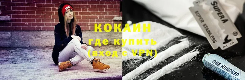 продажа наркотиков  площадка как зайти  мега как зайти  Кокаин Fish Scale  Муром 